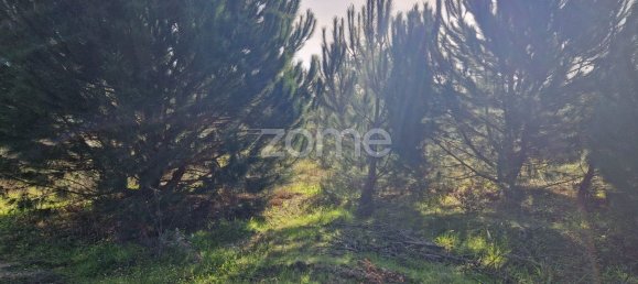  قطعة أرض في Montijo, Portugal 44750متر مربع رقم 98793 15