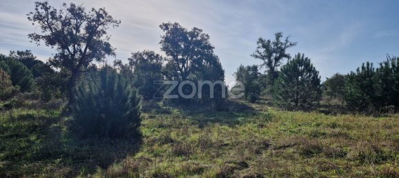  قطعة أرض في Montijo, Portugal 44750متر مربع رقم 98793 36