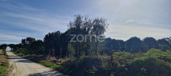  قطعة أرض في Montijo, Portugal 44750متر مربع رقم 98793 19