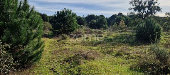  قطعة أرض في Montijo, Portugal 44750متر مربع رقم 98793 7
