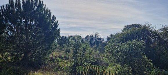  قطعة أرض في Montijo, Portugal 44750متر مربع رقم 98793 39