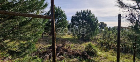  قطعة أرض في Montijo, Portugal 44750متر مربع رقم 98793 26