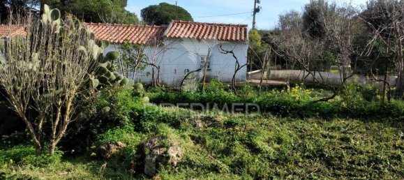 3 bedrooms House in Santiago do Cacem, Portugal No. 73295 22