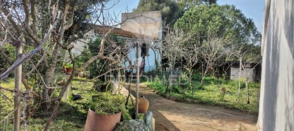 3 bedrooms House in Santiago do Cacem, Portugal No. 73295 27