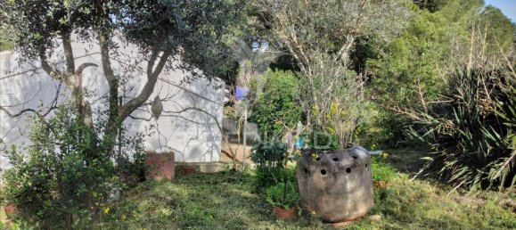 3 bedrooms House in Santiago do Cacem, Portugal No. 73295 14