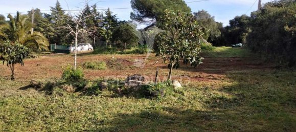 3 bedrooms House in Santiago do Cacem, Portugal No. 73295 19