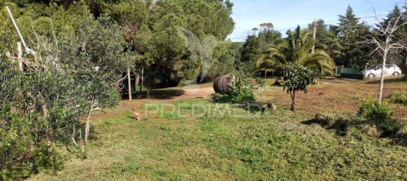 3 bedrooms House in Santiago do Cacem, Portugal No. 73295 18