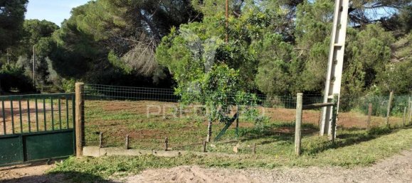 3 bedrooms House in Santiago do Cacem, Portugal No. 73295 29