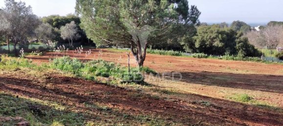 3 bedrooms House in Santiago do Cacem, Portugal No. 73295 23