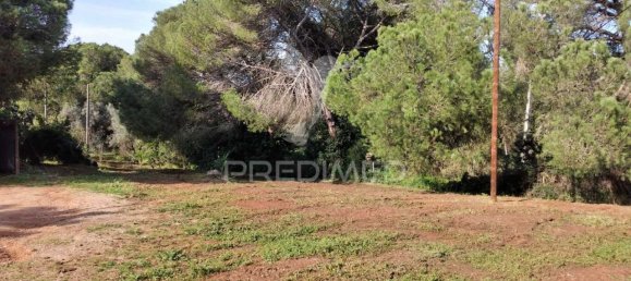 3 bedrooms House in Santiago do Cacem, Portugal No. 73295 17