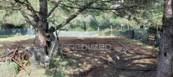 3 bedrooms House in Santiago do Cacem, Portugal No. 73295 26