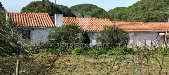 3 bedrooms House in Santiago do Cacem, Portugal No. 73295 5