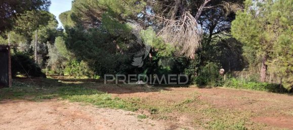 3 bedrooms House in Santiago do Cacem, Portugal No. 73295 21