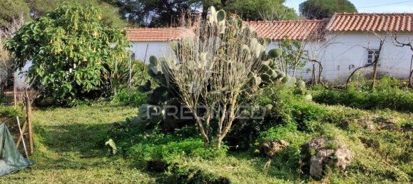 3 bedrooms House in Santiago do Cacem, Portugal No. 73295 3