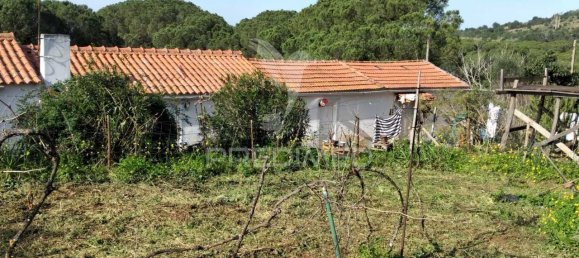 3 bedrooms House in Santiago do Cacem, Portugal No. 73295 4