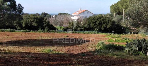 3 bedrooms House in Santiago do Cacem, Portugal No. 73295 24