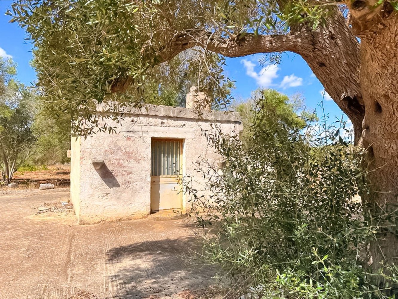 2 rooms House in San Vito dei Normanni, Italy No. 158340