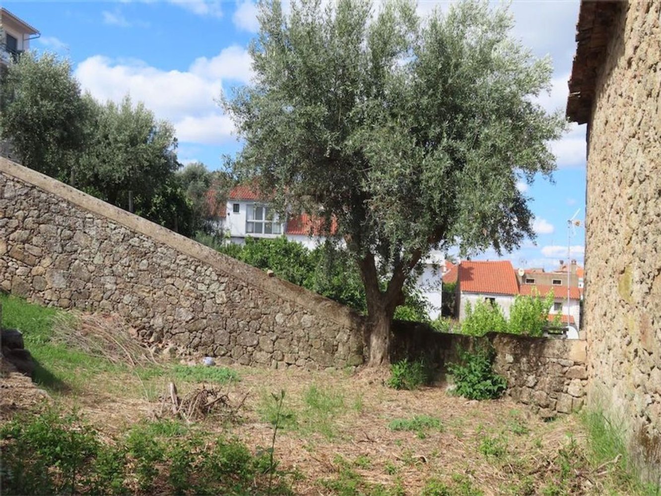 2 bedrooms House in Idanha a Nova, Portugal No. 188650