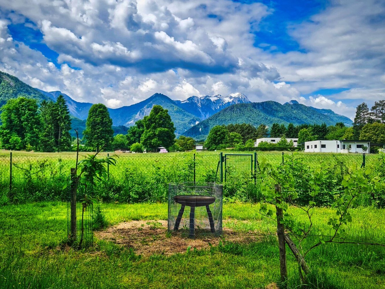  Land in St. Jakob im Rosental, Austria No. 126913