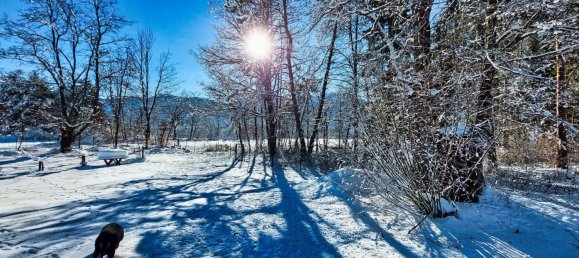 Land in St. Jakob im Rosental, Austria No. 126913 6