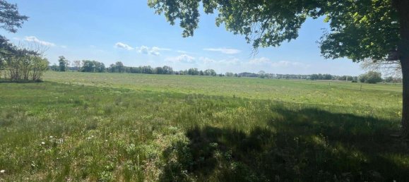 4 chambres Ferme à Ostprignitz-Ruppin, Germany No. 86427 18
