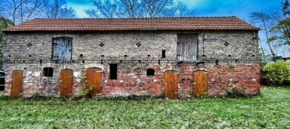 4 chambres Ferme à Ostprignitz-Ruppin, Germany No. 86427 19