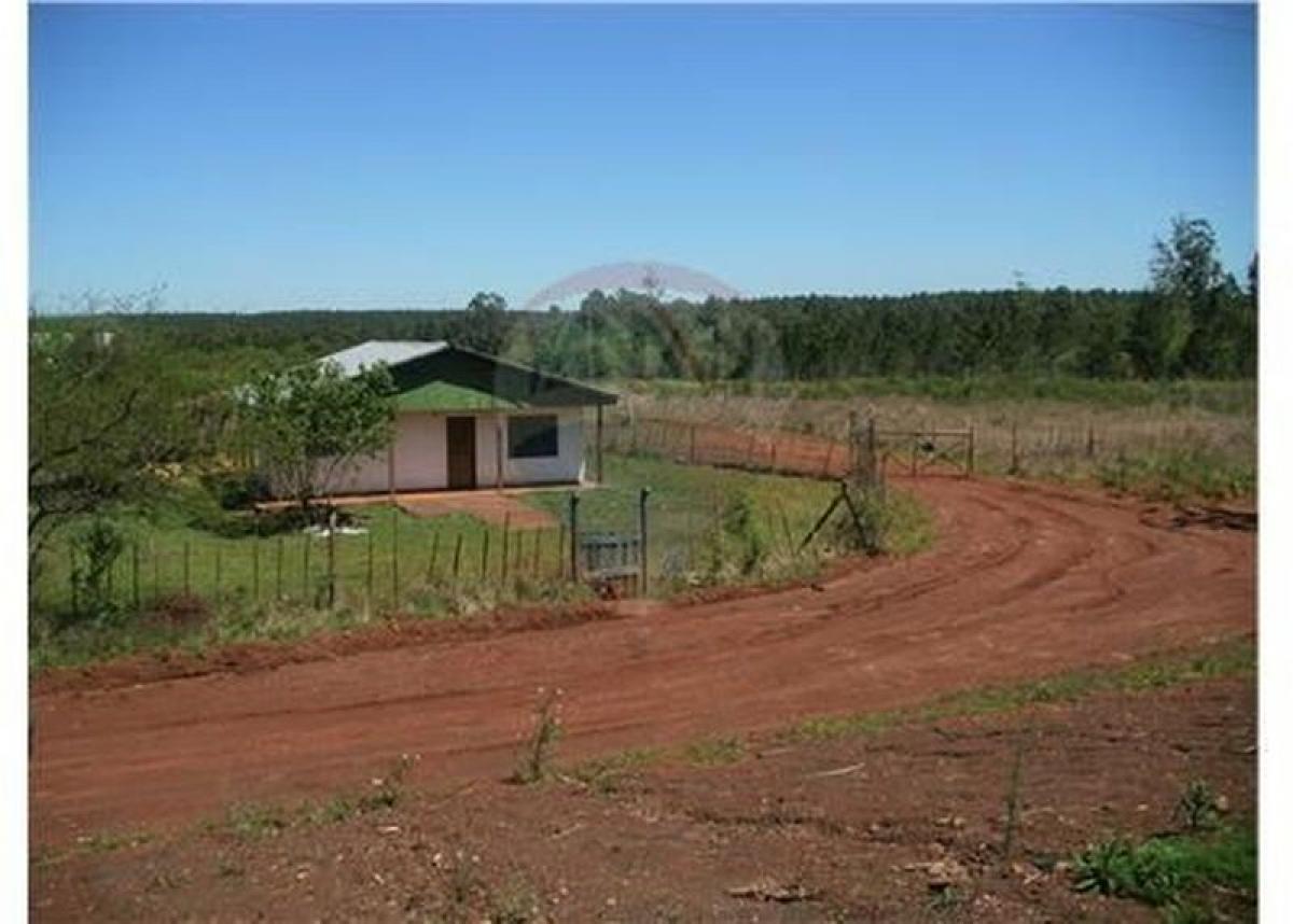 Grundstück in Misiones, Argentina, Nr. 49595