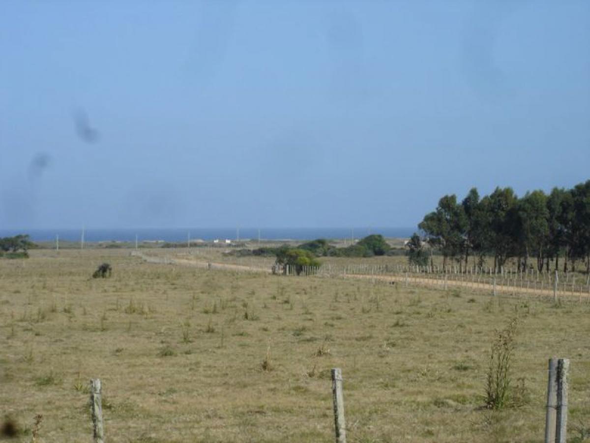 Ферма в Мальдонадо, Уругвай № 14597