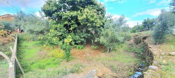 5 bedrooms House in Alvares, Portugal No. 161046 10