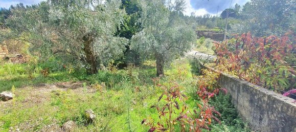 5 bedrooms House in Alvares, Portugal No. 161046 9