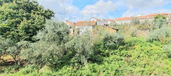 5 bedrooms House in Alvares, Portugal No. 161046 11