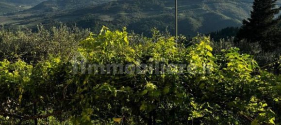 2 bedrooms House in Pontassieve, Italy No. 250967 5