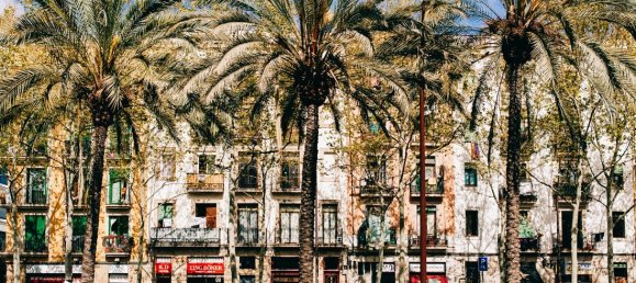 1000m² Building in Ciutat Vella, Spain No. 105971 7