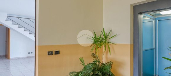 1 chambre Appartement à Busto Arsizio, Italy No. 329610 6