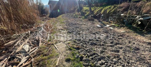 5 Schlafzimmer Villa in Pino Torinese, Italy, Nr. 215968 41