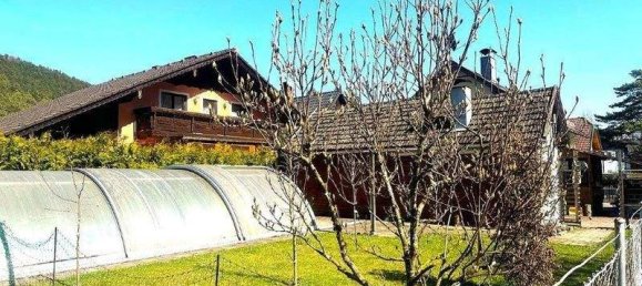 4-Zimmer Haus in Pernitz, Austria, Nr. 142900 16