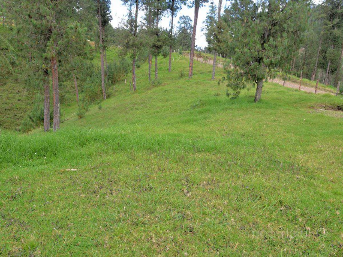 Terrain à Antioquia, Colombia No. 119
