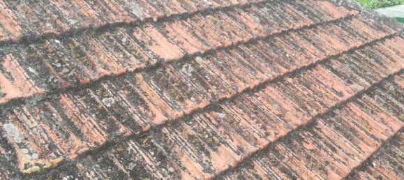 2 غرف نوم منزل في Santa Ursula, Spain رقم 33092 4