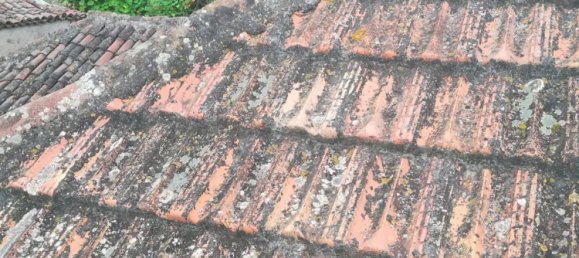 2 غرف نوم منزل في Santa Ursula, Spain رقم 33092 19