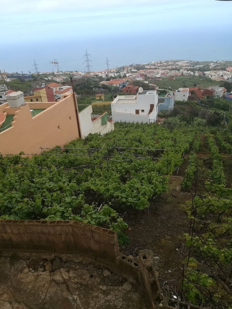 2 غرف نوم منزل في Santa Ursula, Spain رقم 33092