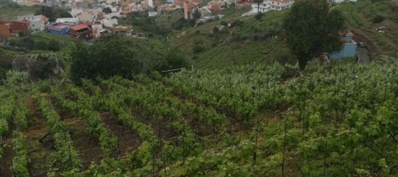 2 غرف نوم منزل في Santa Ursula, Spain رقم 33092 3