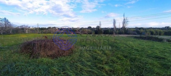 3 bedrooms House in Tomar, Portugal No. 14534 8