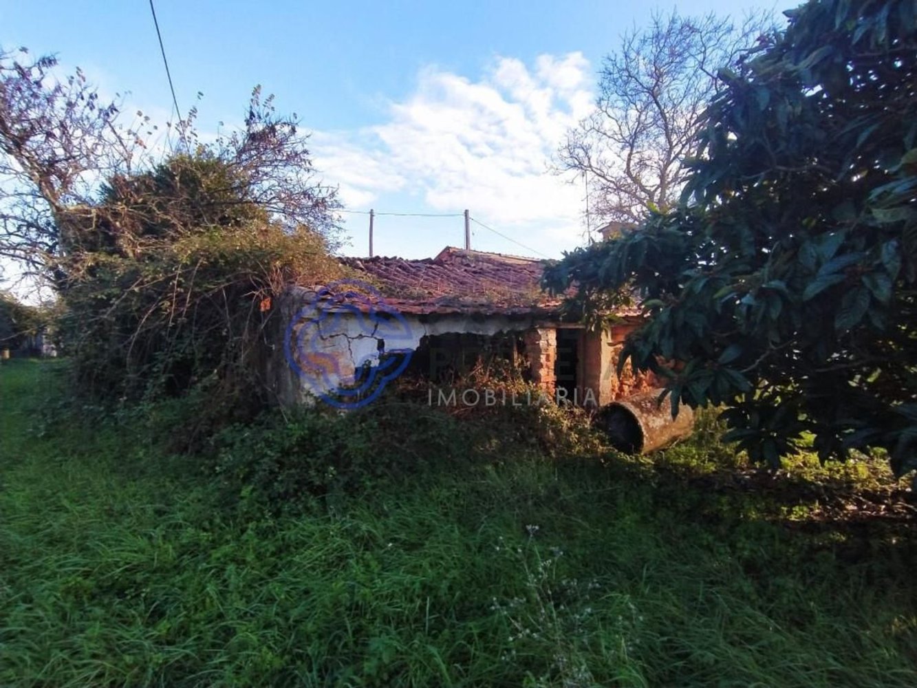 3 bedrooms House in Tomar, Portugal No. 14534