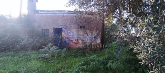 3 bedrooms House in Tomar, Portugal No. 14534 37