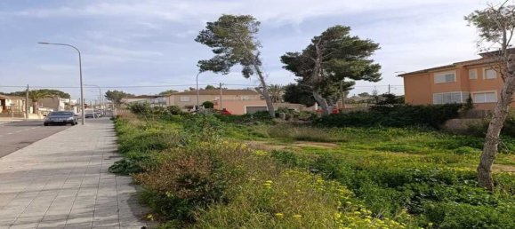  قطعة أرض في Palma de Majorca, Spain 629متر مربع رقم 66982 2