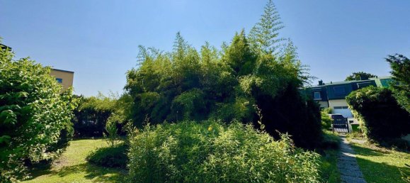  قطعة أرض في Korneuburg, Austria رقم 230136 2