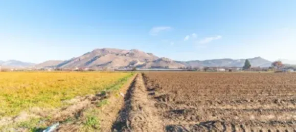 Terreno en Fuente Vaqueros, Spain No. 181258 10