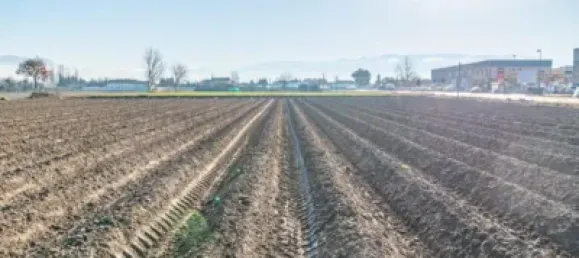 Terreno en Fuente Vaqueros, Spain No. 181258 13