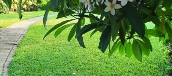 10-Zimmer Villa in Petrosino, Italy, Nr. 251671 32