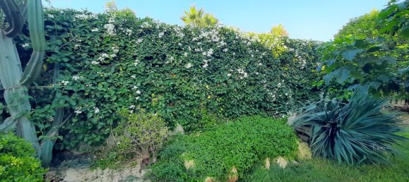 10-Zimmer Villa in Petrosino, Italy, Nr. 251671 35